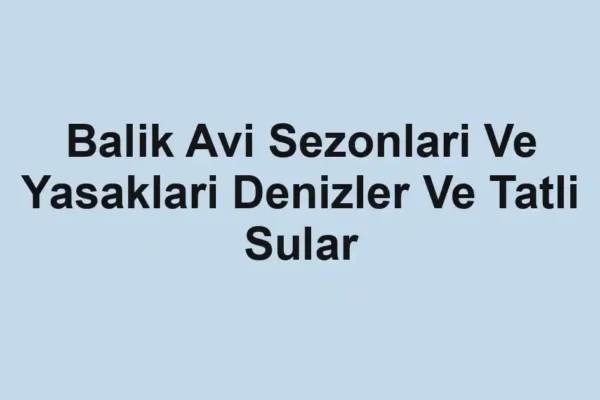 balık