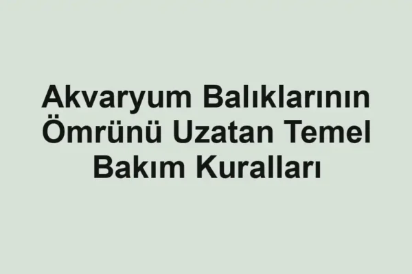 balık