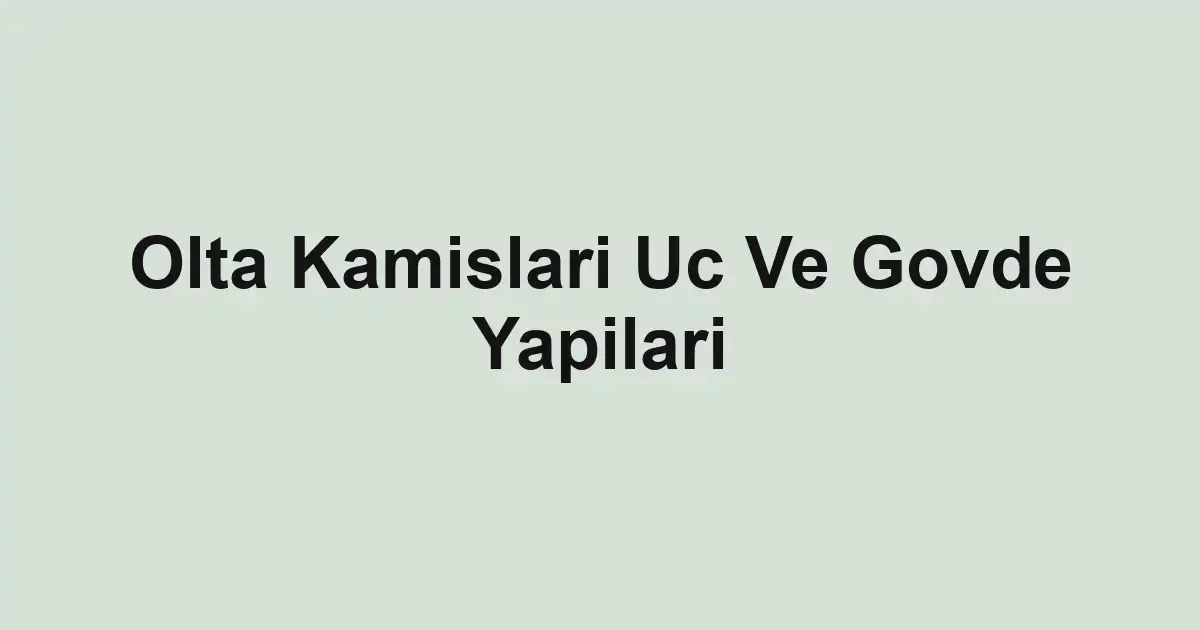 balık