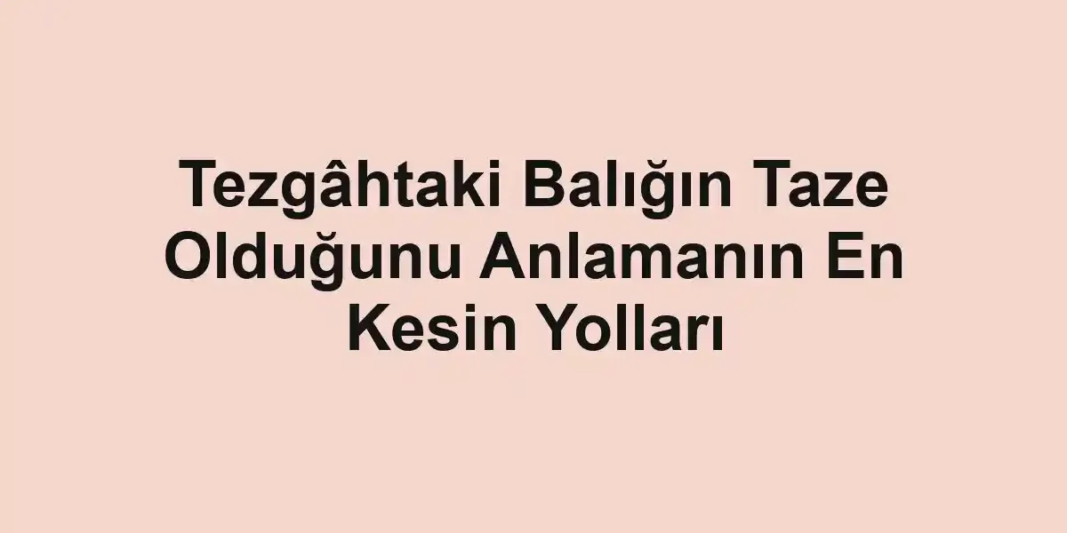 balık malzemeleri