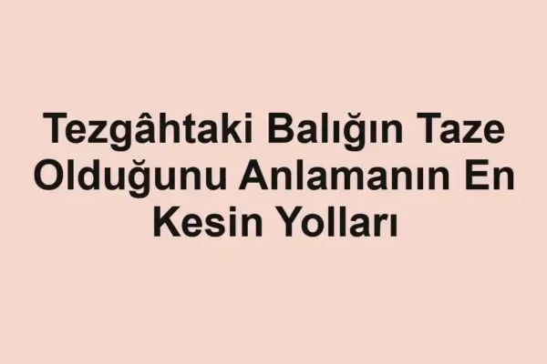 balık malzemeleri