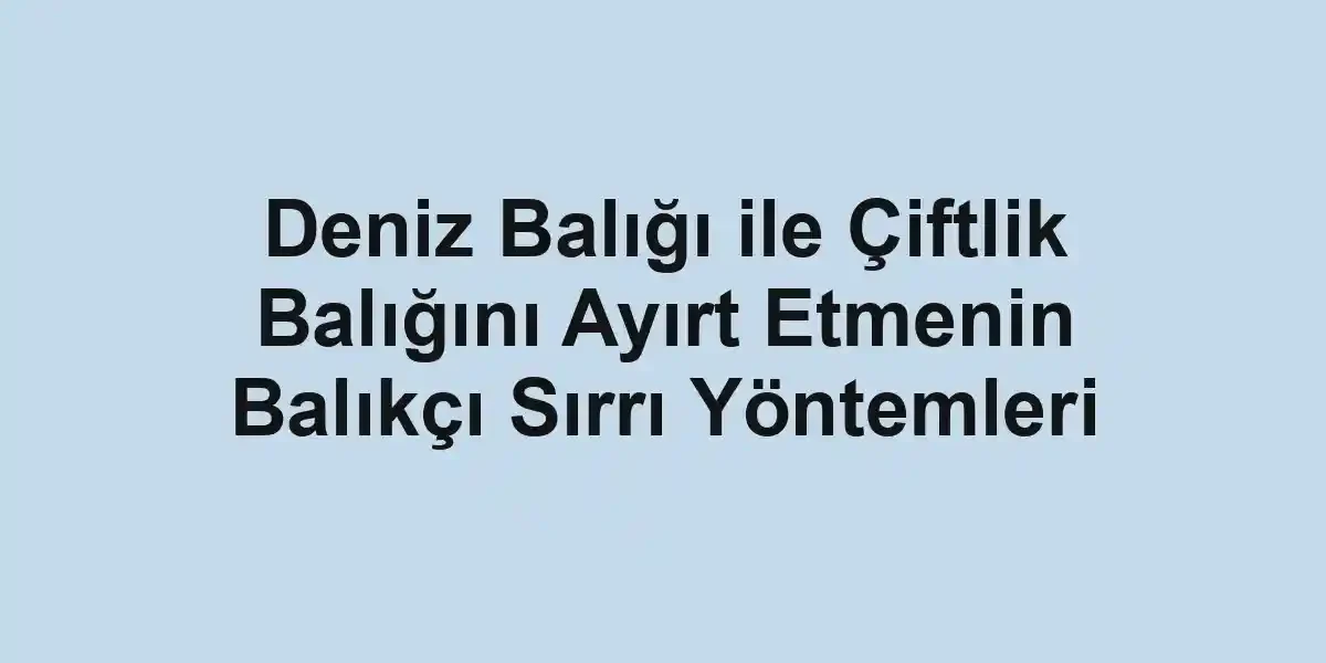 balık malzemeleri