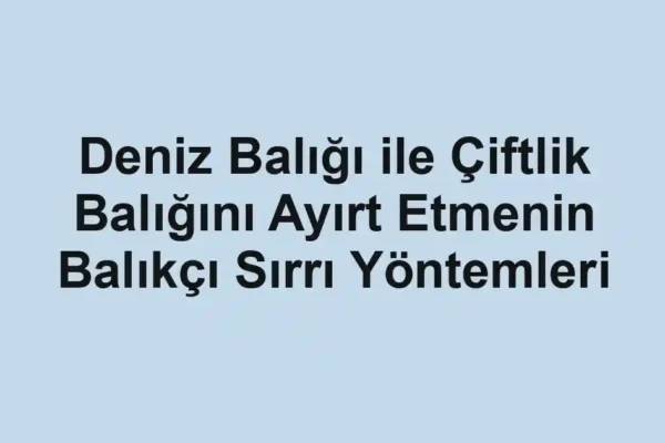 balık malzemeleri