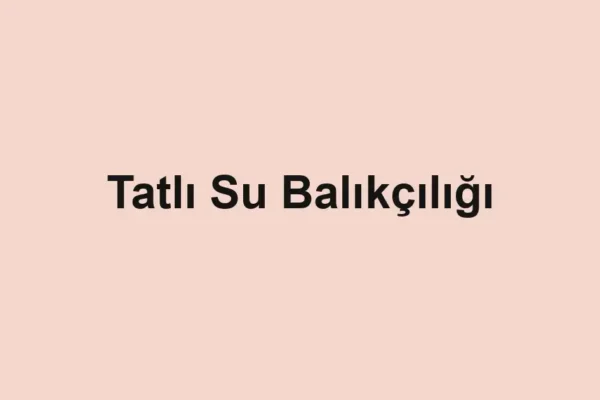 balık malzemeleri