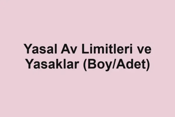 balık malzemeleri