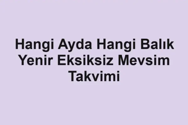 balık malzemeleri