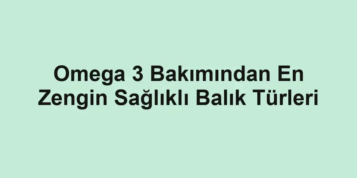 balık malzemeleri