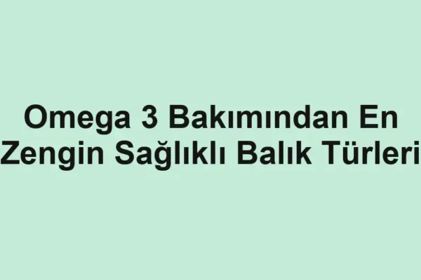 balık malzemeleri