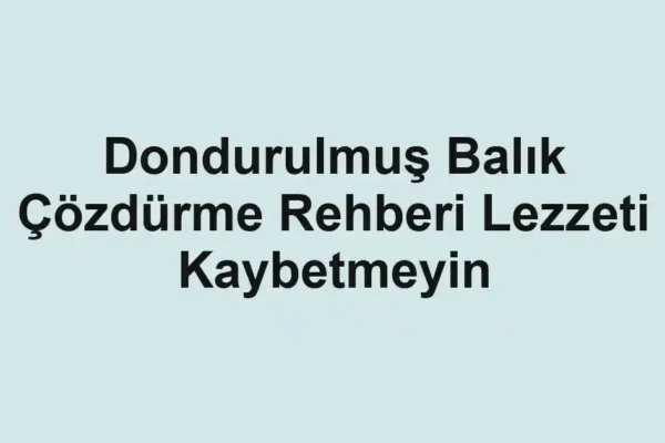 balık malzemeleri