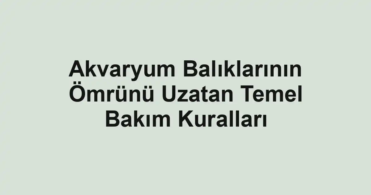 balık malzemeleri