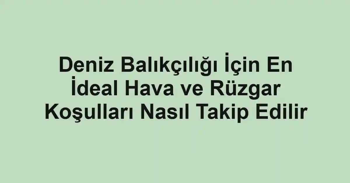 balık malzemeleri