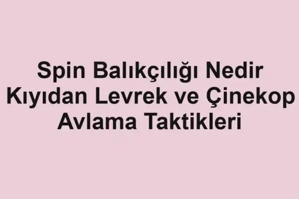 balık rehberi