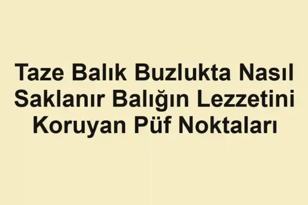 balık rehberi