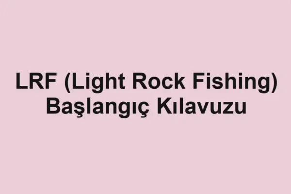 balık rehberi
