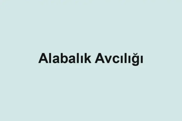 balık rehberi