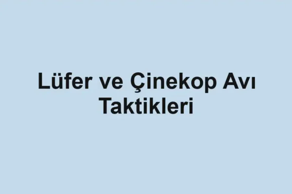 balık rehberi
