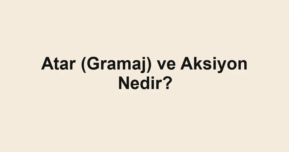 balık rehberi