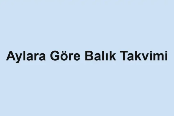 balık rehberi