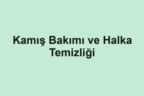 balık rehberi