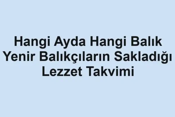 balık rehberi