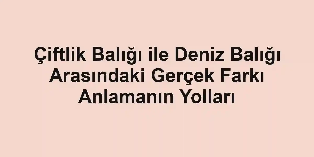 balık rehberi