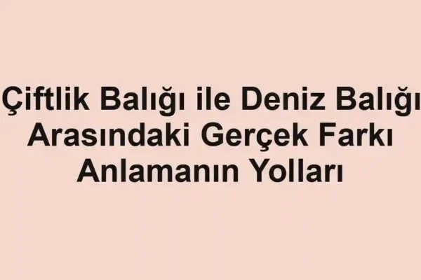 balık rehberi