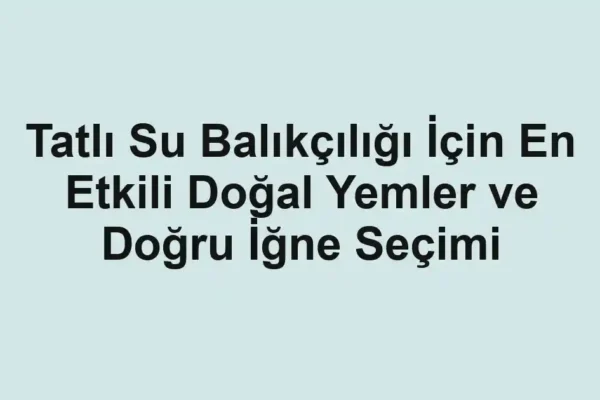 balık rehberi