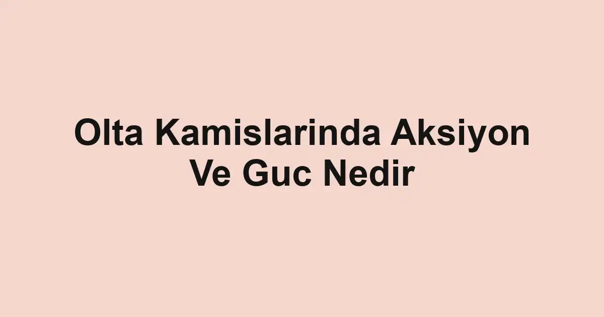 balık rehberi