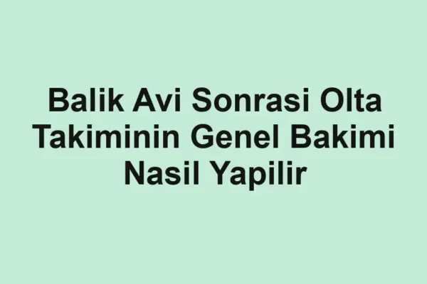 balıkçı rehberi