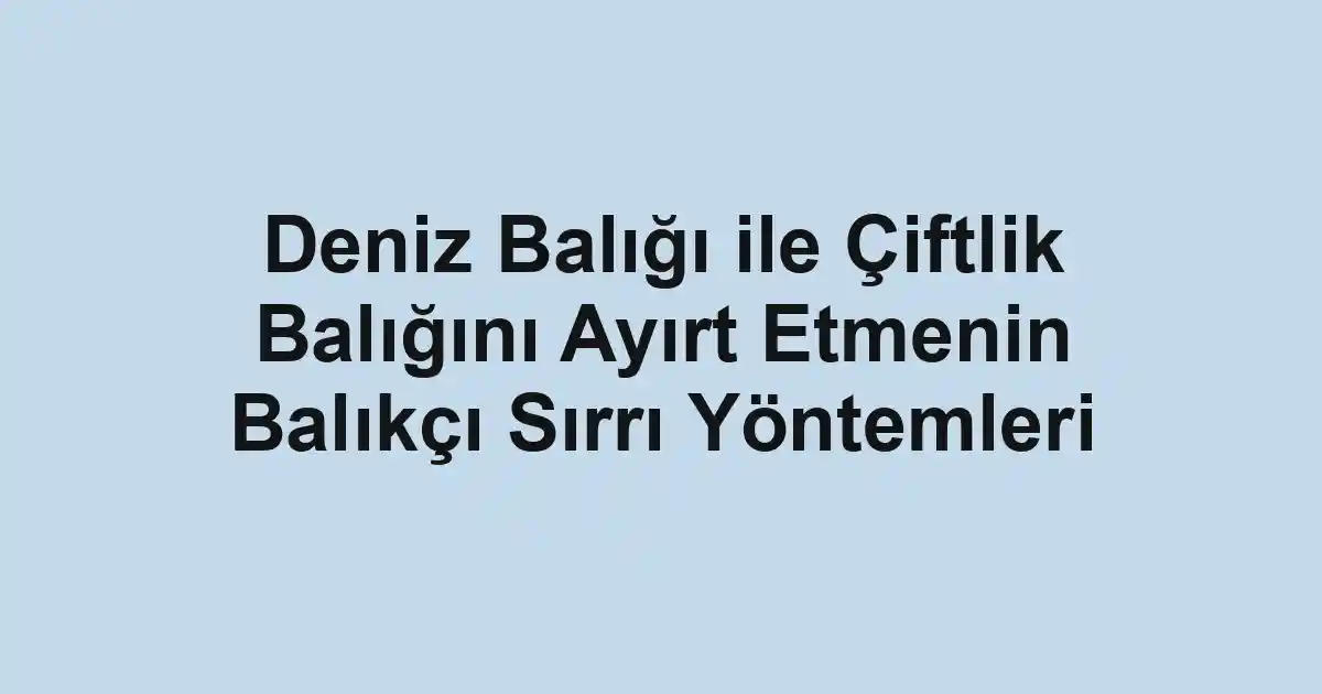 balıkçı rehberi