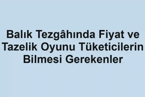 balıkçı rehberi