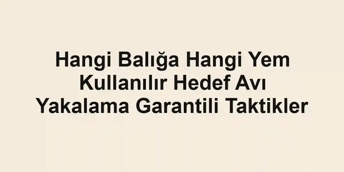 balıkçı rehberi