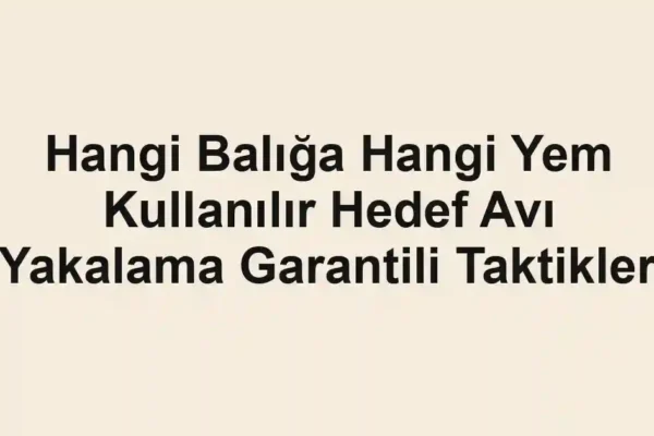 balıkçı rehberi
