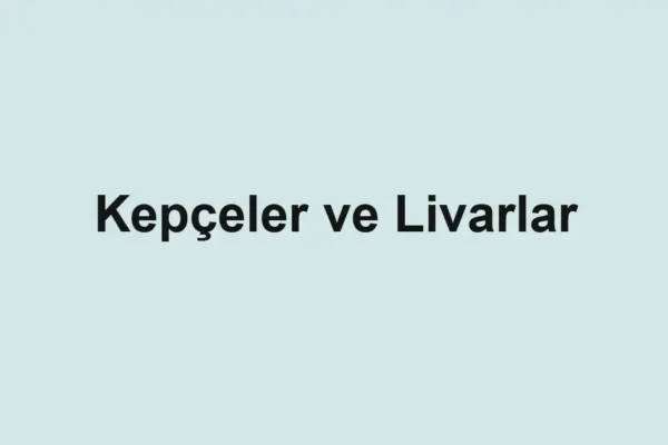 balıkçı rehberi