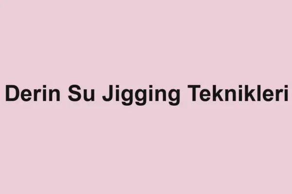 balıkçı rehberi