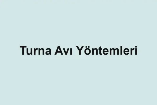 balıkçı rehberi