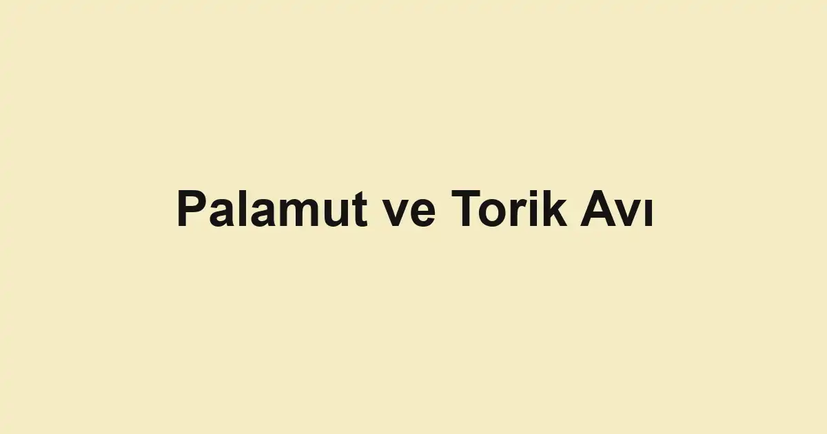 balıkçı rehberi