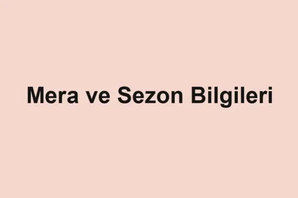 balıkçı rehberi