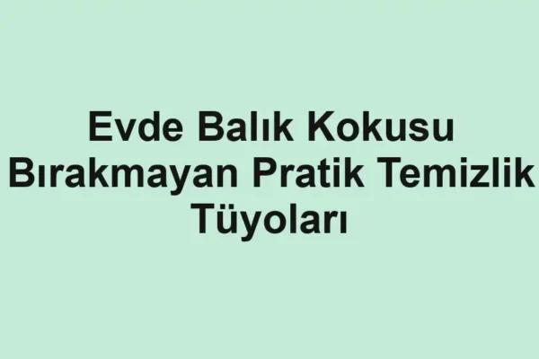balıkçı rehberi