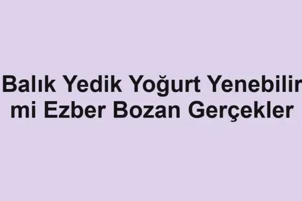 balıkçı rehberi