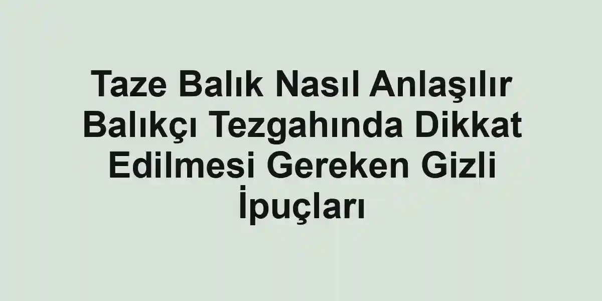 balıkçı rehberi