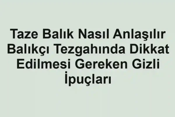 balıkçı rehberi