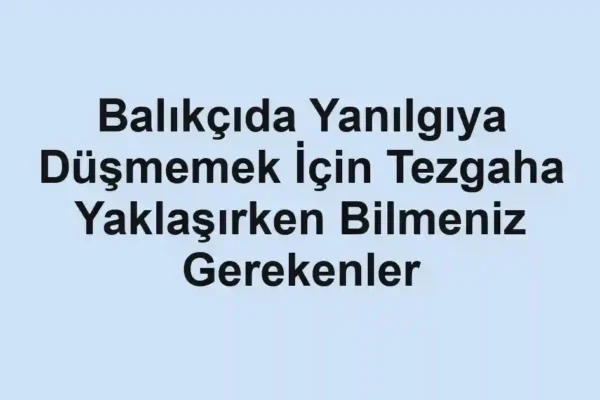 balıkçı rehberi