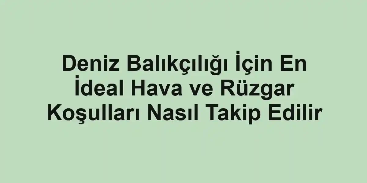 balıkçı rehberi