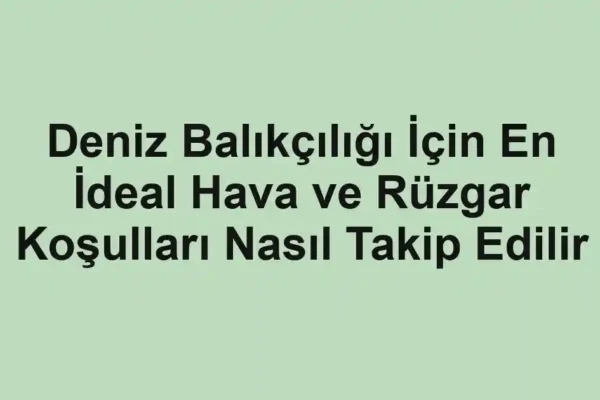 balıkçı rehberi