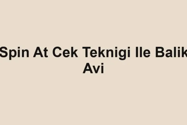 balıkçı rehberi