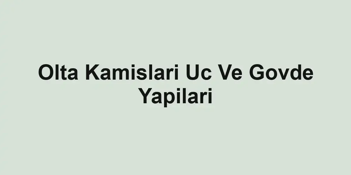 balıkçı rehberi