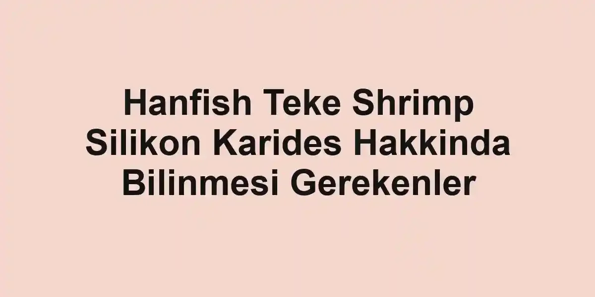 balıkçı rehberi