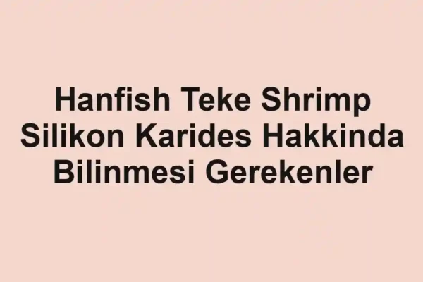 balıkçı rehberi